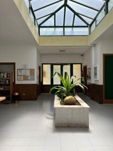 Costa de Antigua 106 Torres del Castillo, Fuerteventura