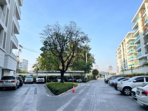 Summer Hua Hin by Tai