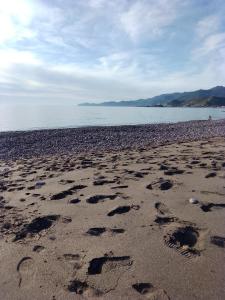 Casa vacanze su sorighe. img69