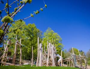 Ferienpark Geyersberg inklusive aktivCARD Bayerischer Wald