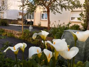 Maisons de vacances Comme a la maison : photos des chambres