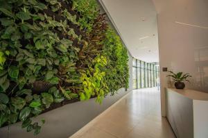 TOP FLOOR Studio Poblado, AC, Coworking, gym 1416