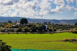 Blue pearl, seaside aprtm with pool at Latchi Marina