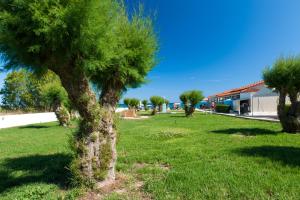 Kalamaki Beach Hotel, Zakynthos Island Zakynthos Greece