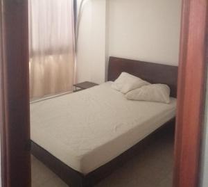 apto centro santa marta