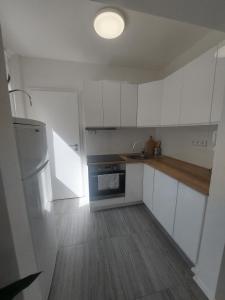 Komfortní byt Pod Příčnou