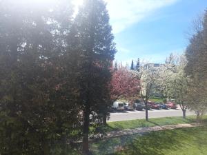 Komfortní byt Pod Příčnou