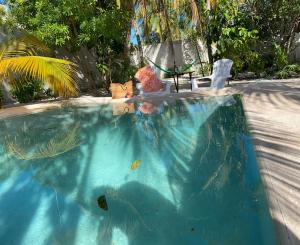 Casa ALBU Telchac centro