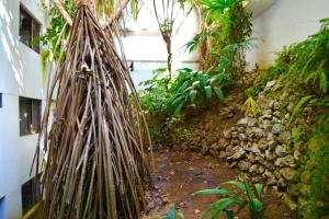 Hermosa Habitación privada en la Sabana, San Jose