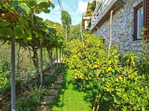 Ferienwohnung für 3 Personen ca 20 qm in Rabac, Istrien Bucht von Rabac