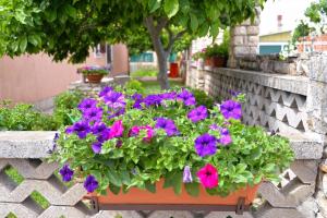 Ferienwohnung für 2 Personen ca 30 qm in Novigrad, Istrien Istrische Riviera