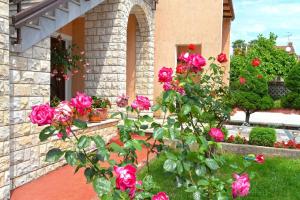 Ferienwohnung für 2 Personen ca 30 qm in Novigrad, Istrien Istrische Riviera - b54355