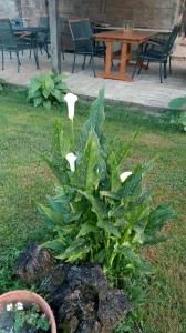 Ländlicher Tourismus