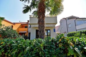 Ferienwohnung für 3 Personen ca 20 qm in Fažana, Istrien Istrische Riviera