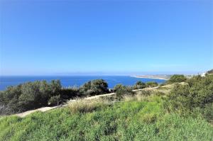 Ferienhaus mit Privatpool für 6 Personen ca 300 qm in Badia Grand, Mallorca Südküste von Mallorca