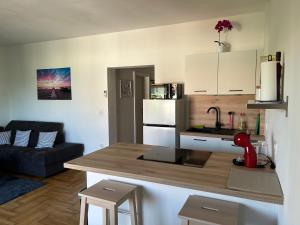 Apartment Maya Njivice