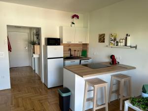 Apartment Maya Njivice