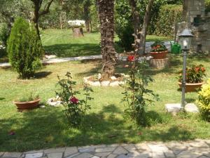 Licul Modern retreat