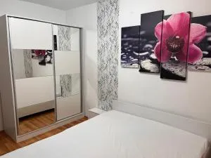 Apartament Medeea 1 camera Astralis - Dioşod