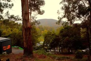 Kookaburra's Perch - Millgrove