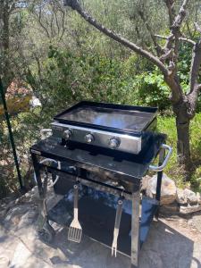 L’Oliveraie du Revest