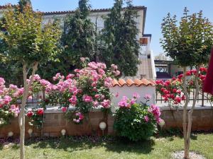 Ferienwohnung für 4 Personen ca 56 qm in Novigrad, Istrien Istrische Riviera 