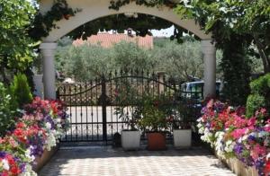 Ferienwohnung für 4 Personen ca 45 m in Bužinija, Adriaküste Kroatien Westküste von Istrien 