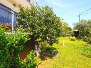 Ferienwohnung für 2 Personen ca 45 qm in Premantura, Istrien Istrische Riviera 