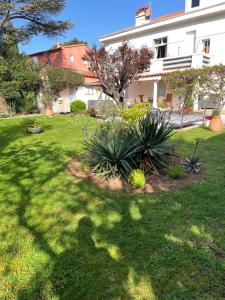 Appartements appartement rez de villa proche port et plages de Sanary : photos des chambres