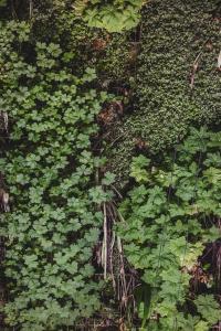 Hotels Hotel Singulier Bordeaux - Boutique Hotel & Spa Anne Semonin : photos des chambres