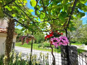 Ferienwohnung für 6 Personen ca 90 qm in Mrgani, Istrien Istrische Riviera