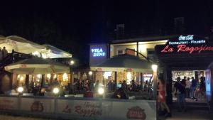 Vila Dini(La Rogojini)