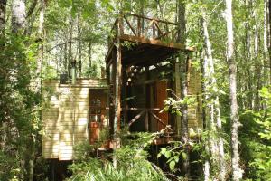 Casita Arbol