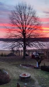 Kuckucksnest - Ferienwohnung Welschneudorf