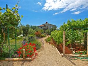 Ferienwohnung für 4 Personen ca 35 qm in Fažana, Istrien Istrische Riviera