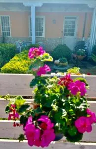 Demetra Apartment Sperlonga - ليدو دي فوندي