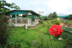 Sundarbagh farmhouse