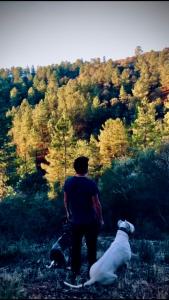 Finca Charco La Olla