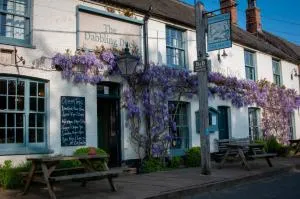 The Dabbling Duck - Weasenham