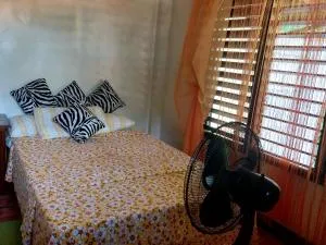 francia borjal 3-bedroom, 2 t&b shared apartment - Tinabug