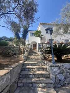 Apartment Nadine Mljet