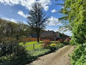 ‘t Bosrandje - 奥多恩