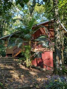 Casa Mona, Jungle vibes adults only, Cocles
