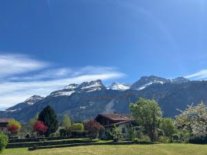 Ferienwohnung Sonnenseite Brienz