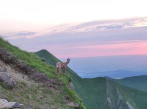 Appartements Les Brumes, Appartement N°2 : photos des chambres