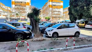 Estudio Francisco Agata