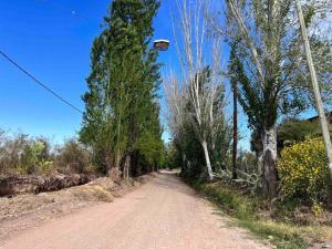 Complejo Wine Maipu: Piscina, Parrilla, Bicis