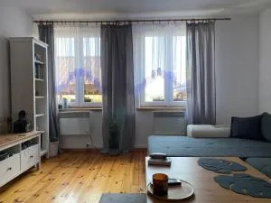 Apartament Hajstra z ogrodem - Planta