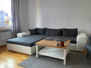 Apartament Hajstra z ogrodem