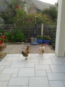 Sejours chez l'habitant Maison Chauvin : photos des chambres